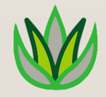 Gamers Hub Group