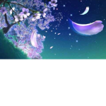 Stary_blossoms