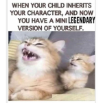 Funnytake