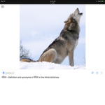 It's wolf