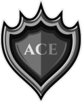 ACE GANG COMMISSIONS
