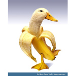 bananaDuck