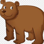 All Bears United!