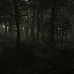 The Forest