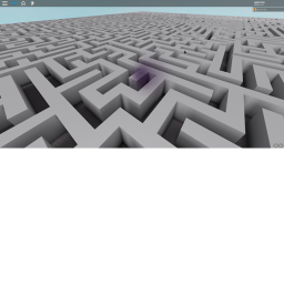 Maze
