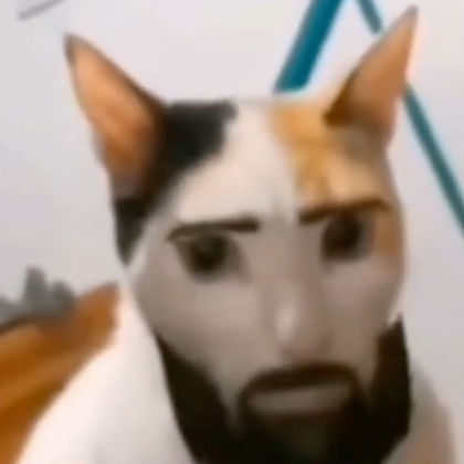 #cat #mem #meme #funny Roblox decal