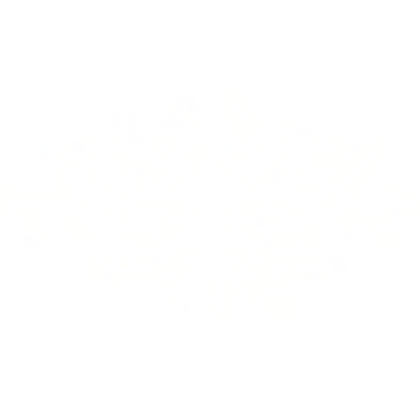 Glowing Skeletal Divine Wings (Emissive) - White