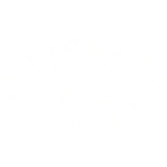 Glowing Skeletal Divine Wings (Emissive) - White
