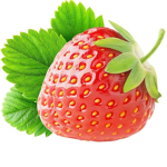 sacred strawberries