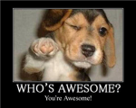 Awesome!:D