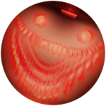 Speed Running
