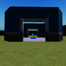 Capture the flag