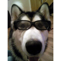 Wouk en pwogwess! >.<