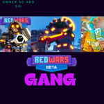 #BEDWARS_GANG