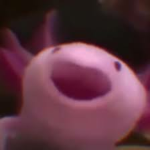 A Random Axolotl Fan Club