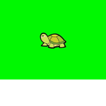 21 Turtles