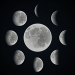 Moon kingdom..