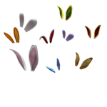 RT bunis