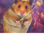 TEAM HAMSTER FOR LIFE!!!