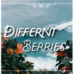 DifferntBerries
