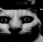 FallingShadow