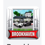Speed of Brookhaven