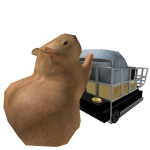 Capybara shopping cart