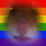 LGBTQ+ RATS