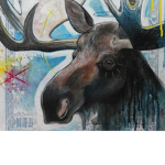 moose attack