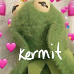Wholesome Kermit