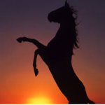 Wild West: The Purgers