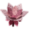 Cyclamen produce