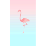 The FELIPE/ FLAMINGO GROUP