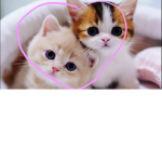Cute Kawaii Kitten Group