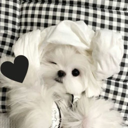 。°˖ ʚ ♡ ɞ 。°