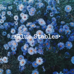 •Blue Stables•