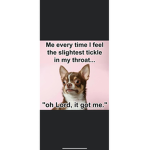 OOOOOOOOFFFFFFFF