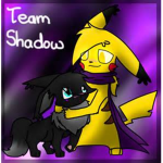 {Team Shadow}