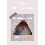 |Vibe Squad|