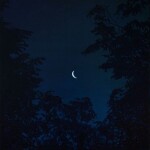 𝐠𝐚𝐥𝐚𝐱𝐢𝐞𝐬