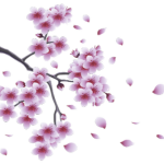 eden flowers