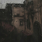 ❀ ⋆ ୨⊹୧ ‧˚.