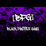 Black Panthers Gang