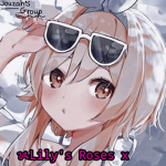Lily’s roses x