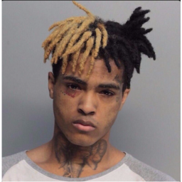 RIP X