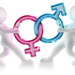 Gender Wars! WHICH is better?