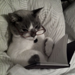 arie's book club