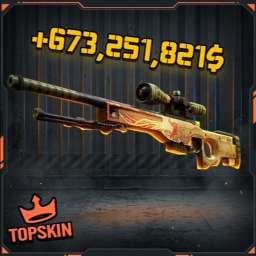 TopSkin
