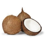 CoconutStudio's