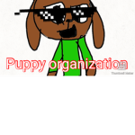 Puppy organization